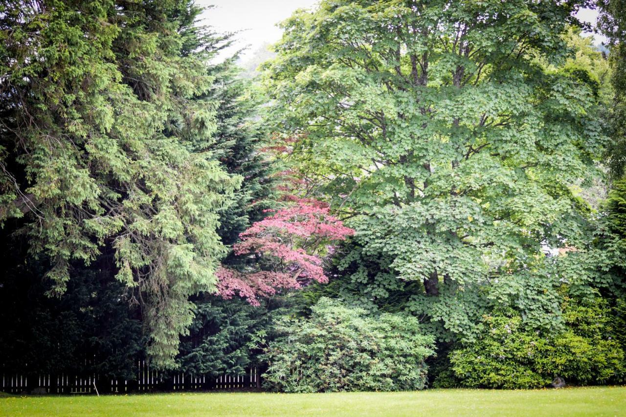 Apartamento Benoch Lomond Castle Alexandria Exterior foto